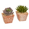 Nearly Natural Succulent Artificial Plant In Terra Cotta Planter