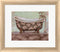 Todd Williams Tropical Bath II - mini White Washed Rounded Oatmeal Faux Wood R663897-AEAEAGJEMY