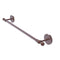 Allied Brass Skyline Collection 24 Inch Towel Bar 1041-24-CA