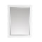 Avanity 22 inch Mirror Cabinet for Allie / Austen 170512-MC22-WTS