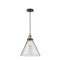 Cone Mini Pendant shown in the Black Antique Brass finish with a Clear shade