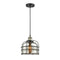 Bell Cage Mini Pendant shown in the Black Antique Brass finish with a Silver Plated Mercury shade