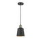 Addison Mini Pendant shown in the Black Antique Brass finish with a Matte Black shade