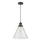 Cone Mini Pendant shown in the Matte Black finish with a Seedy shade