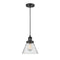 Cone Mini Pendant shown in the Matte Black finish with a Seedy shade