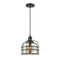 Bell Cage Mini Pendant shown in the Matte Black finish with a Silver Plated Mercury shade