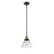 Cone Mini Pendant shown in the Black Antique Brass finish with a Clear shade