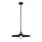 Appalachian Mini Pendant shown in the Black Antique Brass finish with a Matte Black shade