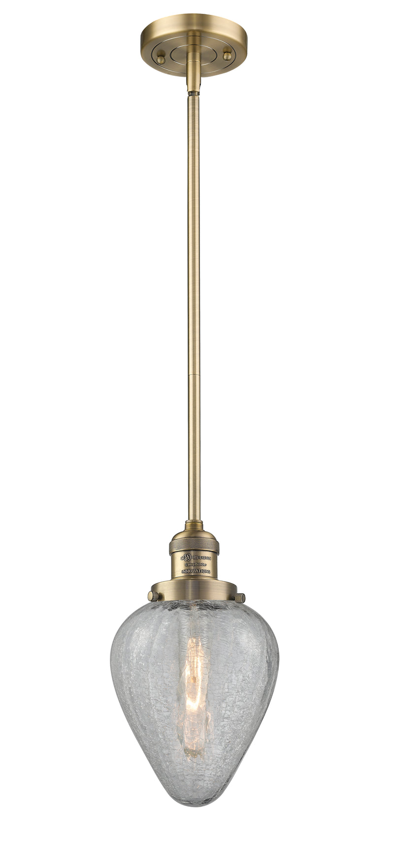 Innovations Lighting Geneseo 1-100 watt 6.5 inch Brushed Brass Mini Pendant with Clear Crackle glass and Solid Brass Hang Straight Swivel 201SBBG165