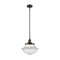 Oxford Mini Pendant shown in the Matte Black finish with a Clear shade