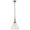 Cone Mini Pendant shown in the Antique Brass finish with a Seedy shade