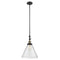 Cone Mini Pendant shown in the Black Antique Brass finish with a Seedy shade