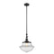 Oxford Mini Pendant shown in the Matte Black finish with a Clear shade