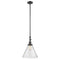 Cone Mini Pendant shown in the Oil Rubbed Bronze finish with a Seedy shade