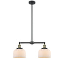 Bell Island Light shown in the Black Antique Brass finish with a Matte White shade