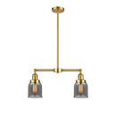 Bell Island Light shown in the Satin Gold finish with a Plated Smoke shade