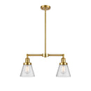 Cone Island Light shown in the Satin Gold finish with a Seedy shade