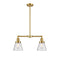 Cone Island Light shown in the Satin Gold finish with a Seedy shade