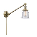 Canton Swing Arm shown in the Antique Brass finish with a Seedy shade