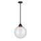 Beacon Mini Pendant shown in the Matte Black finish with a Seedy shade