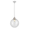 Beacon Mini Pendant shown in the Polished Chrome finish with a Seedy shade