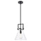 Newton Cone Mini Pendant shown in the Matte Black finish with a Clear shade