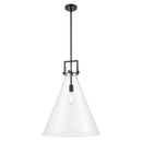 Newton Cone Pendant shown in the Matte Black finish with a Clear shade