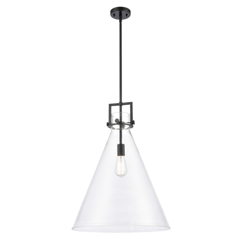 Newton Cone Pendant shown in the Matte Black finish with a Clear shade