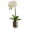 Nearly Natural Cream Orchid Phalaenopsis 24" Artificial Arrangement In Vase