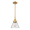 Cone Mini Pendant shown in the Satin Gold finish with a Seedy shade