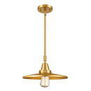 Appalachian Mini Pendant shown in the Satin Gold finish with a Satin Gold shade