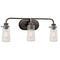 Kichler Braelyn 24" 3 Light Vanity Light with Clear Seeded Glass Olde Bronze 45459OZ