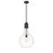 Amherst Pendant shown in the Matte Black finish with a Clear shade