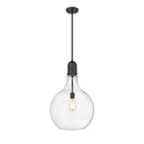 Amherst Pendant shown in the Matte Black finish with a Clear shade