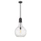 Amherst Pendant shown in the Matte Black finish with a Seedy shade