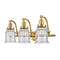 Canton Bath Vanity Light shown in the Satin Gold finish with a Seedy shade