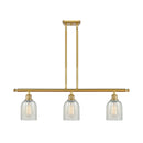 Caledonia Island Light shown in the Satin Gold finish with a Mouchette shade