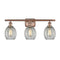 Eaton Bath Vanity Light shown in the Antique Copper finish with a Clear shade