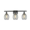 Eaton Bath Vanity Light shown in the Oil Rubbed Bronze finish with a Clear shade