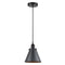 Appalachian Mini Pendant shown in the Matte Black finish with a Matte Black shade