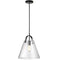 Dainolite 1 Light Incandescent Pendant Black W/ Clear Glass 871P-BK