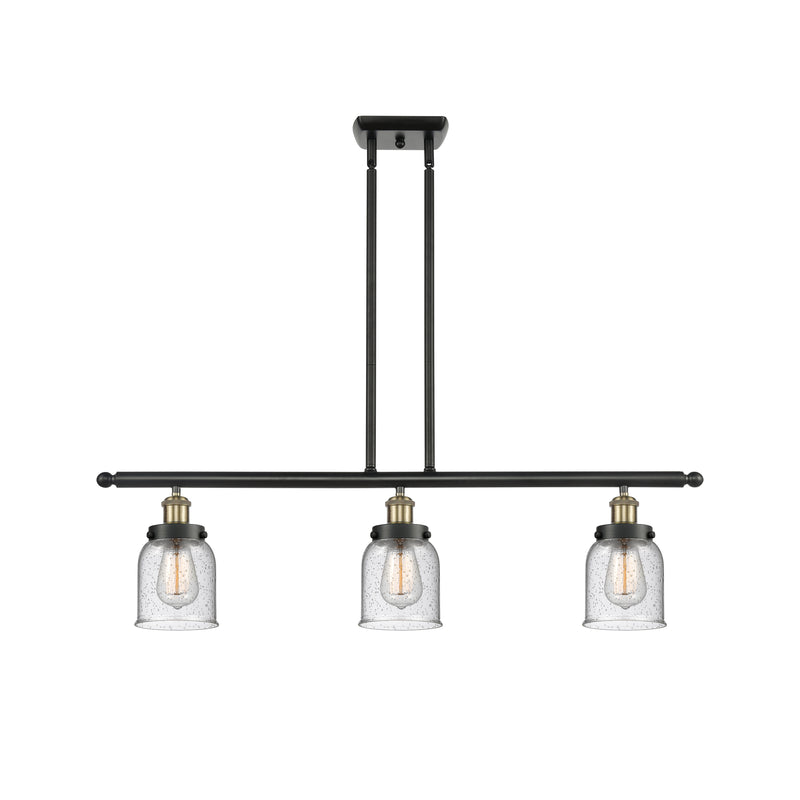 Bell Island Light shown in the Black Antique Brass finish with a Seedy shade