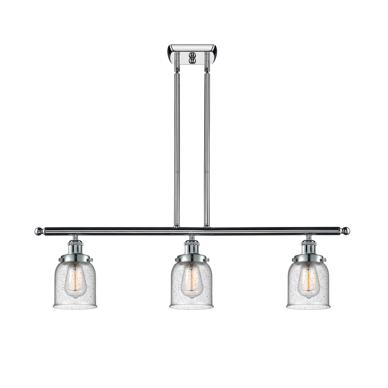 Bell Island Light shown in the Polished Chrome finish with a Seedy shade