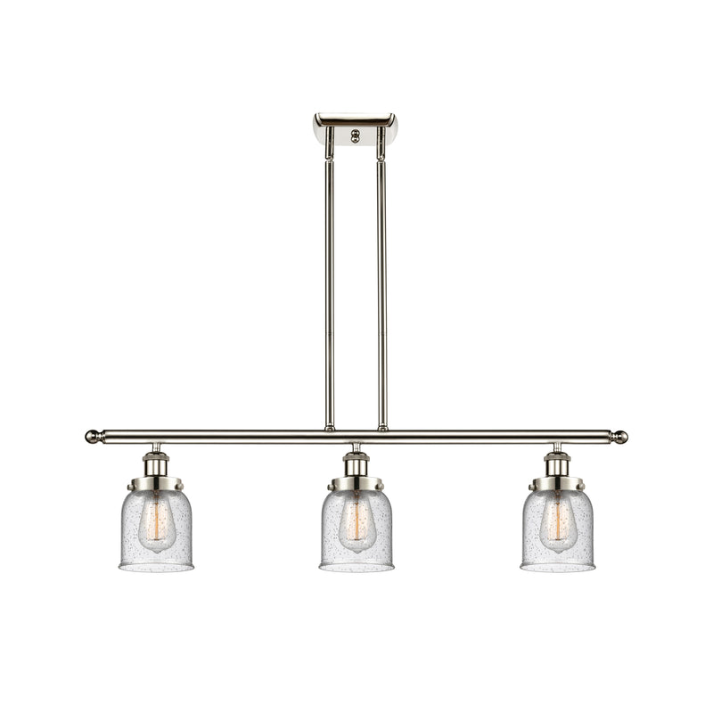 Bell Island Light shown in the Polished Nickel finish with a Seedy shade