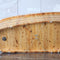 ALFI 61" Free Standing Cedar Wooden Bathtub with Chrome Tub Filler AB1136