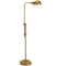 Dainolite 1 Light Incandescent Adjustable Pharmacy Floor Lamp Aged Brass DM1958F-AGB