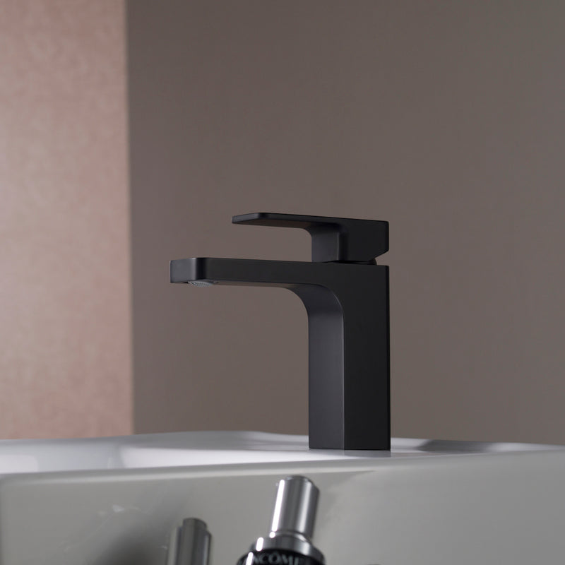 Blossom Single Handle Lavatory Faucet F01-118