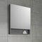 Fresca Lucera 24" Gray Wall Hung Modern Bathroom Cabinet with Top and Undermount Sink FCB6124GR-UNS-CWH-U