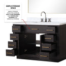 Lexora Abbey 48 in W x 22 in D Single Bath Vanity, Carrara Marble Top, and 46 in Mirror