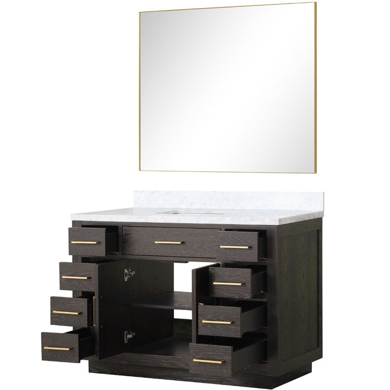 Lexora Abbey 48 in W x 22 in D Single Bath Vanity, Carrara Marble Top, and 46 in Mirror